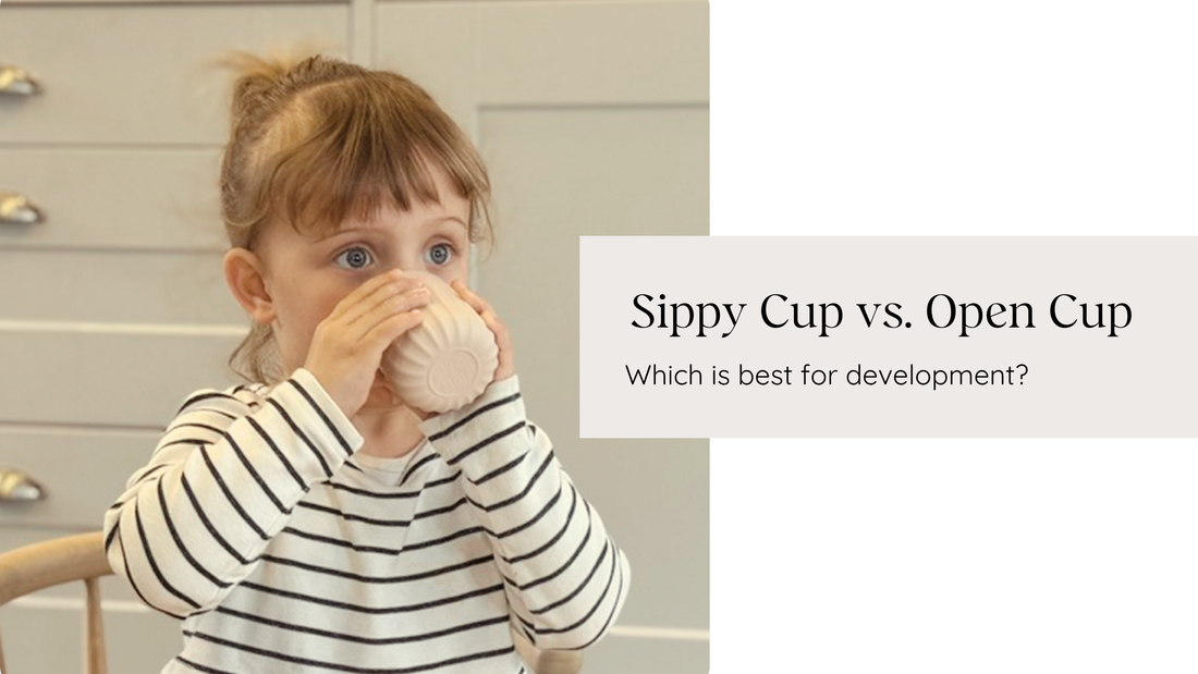 Sippy Cup vs. Open Cup – Which is Best for Development?